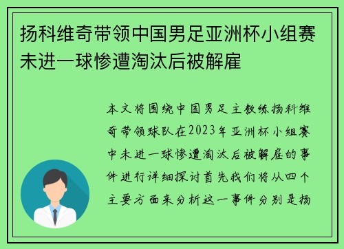 扬科维奇带领中国男足亚洲杯小组赛未进一球惨遭淘汰后被解雇